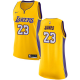 Women's Nike Los Angeles Lakers #23 LeBron James Gold NBA Swingman Icon Edition Jersey