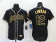 Men's Cleveland Indians #12 Francisco Lindor Black With Gold Stitched MLB Flex Base Nike Jersey