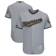 Men's Minnesota Twins Blank Majestic Gray 2018 Memorial Day Collection Flex Base MLB Team Jersey