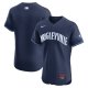 Men's Chicago Cubs  Nike Navy City Connect Elite Jersey