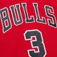 Men's Chicago Bulls Dwyane Wade Mitchell & Ness Red 2016/17 Hardwood Classics Swingman Jersey