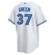 Men's Toronto Blue Jays Chad Green Nike White Home Replica Player Jersey