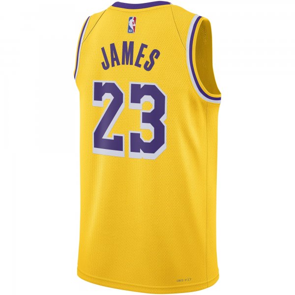 Unisex Los Angeles Lakers LeBron James Nike Gold Swingman Jersey - Icon Edition