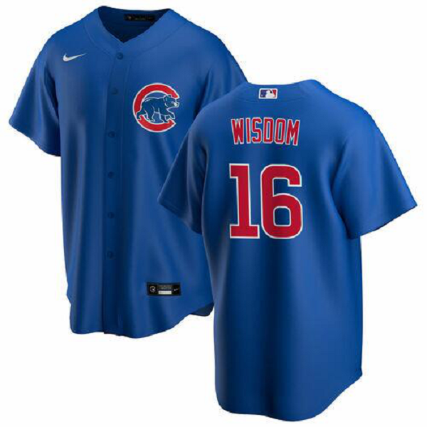 Youth Chicago Cubs #16 Patrick Wisdom Nike Alternate Jersey