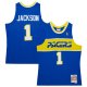 Men's Indiana Pacers Stephen Jackson Mitchell & Ness Royal  2004/05 Hardwood Classics Swingman Jersey