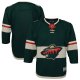 Youth Minnesota Wild Green Home Premier Blank Jersey