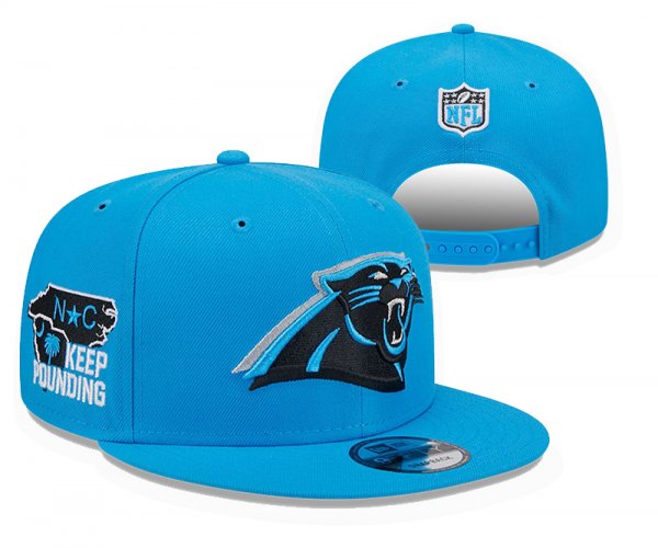 Carolina Panthers Blue Cap