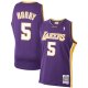 Men's Los Angeles Lakers Robert Horry Mitchell & Ness Purple 1999/00 Hardwood Classics Swingman Jersey