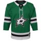 Youth Dallas Stars Green Home Premier Jersey