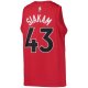 Youth Toronto Raptors Pascal Siakam Nike Red 2021/22 Diamond Swingman Jersey - Icon Edition