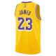 Youth Los Angeles Lakers LeBron James Nike Gold Swingman Jersey - Icon Edition