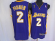 Men's Los Angeles Lakers #2 Derek Fisher Stitched Purple Champion Patch NBA Jersey